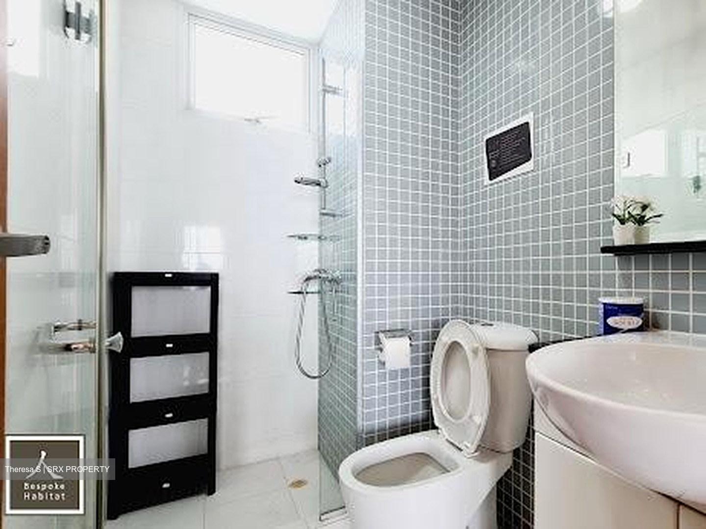 The Jade (D23), Condominium #501188861